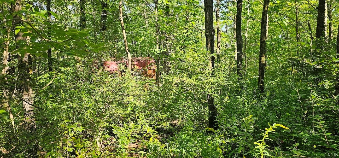 Creamery Road Richford, NY 13835 - Photo 17 of 35 Gallery Image 17