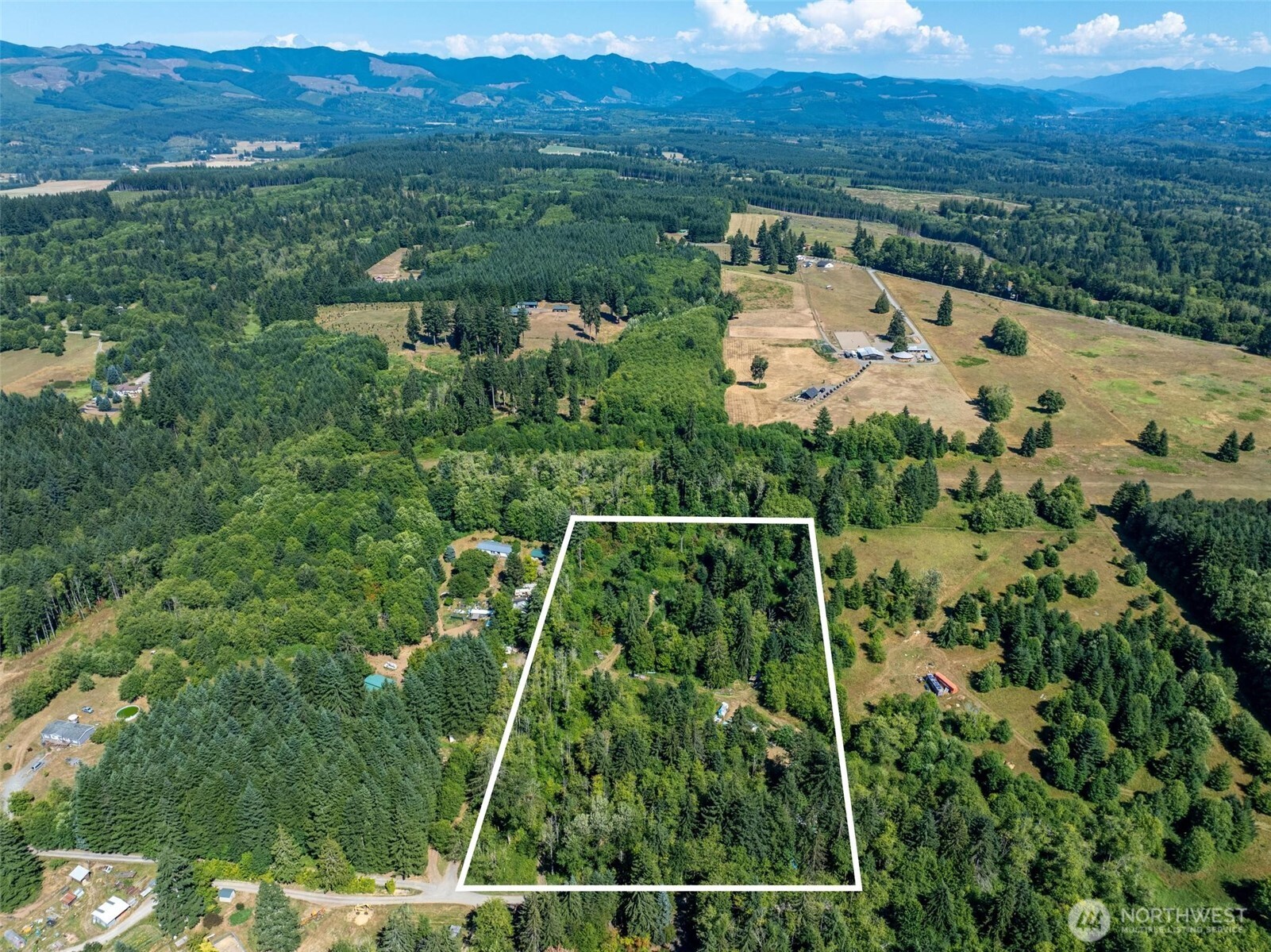 234 Smokey Ridge Road Onalaska, WA 98570 - Photo 2 of 18 an aerial view of residential houses with outdoor space and trees
