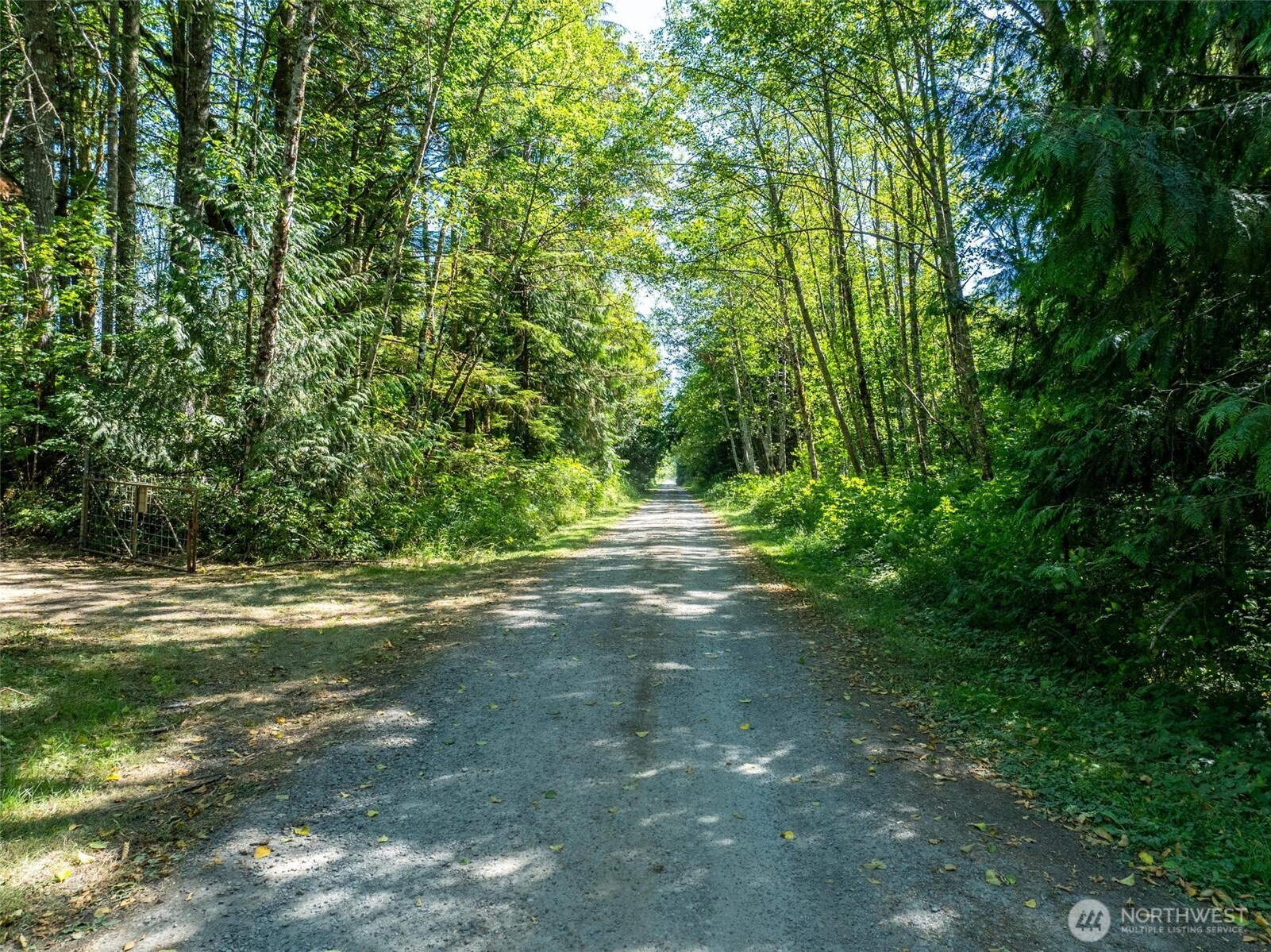 234 Smokey Ridge Road Onalaska, WA 98570 - Photo 6 of 18 a view of outdoor space with trees all around