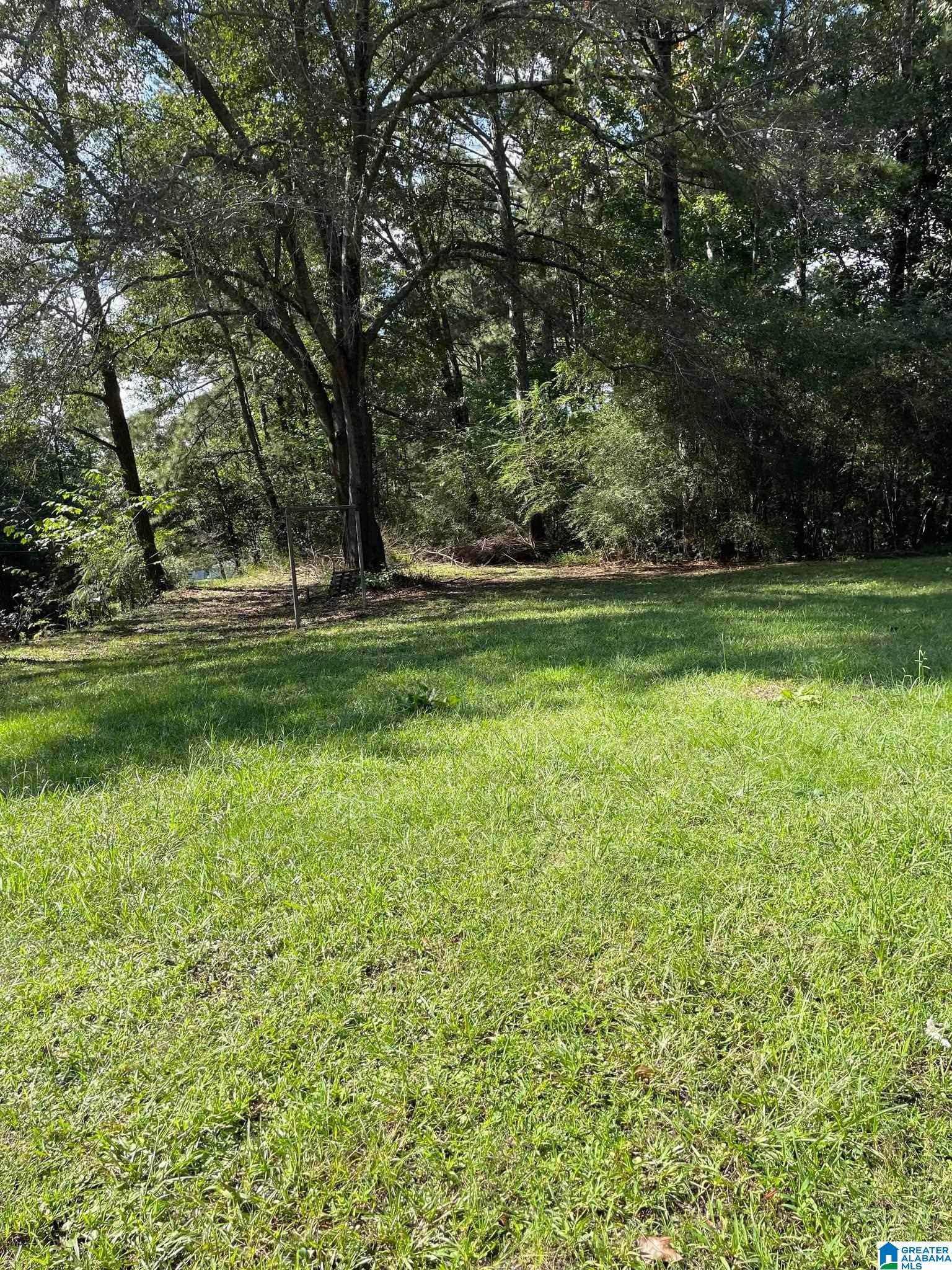 3695 Gobblers Knob Road Warrior, AL 35180 - Photo 13 of 13