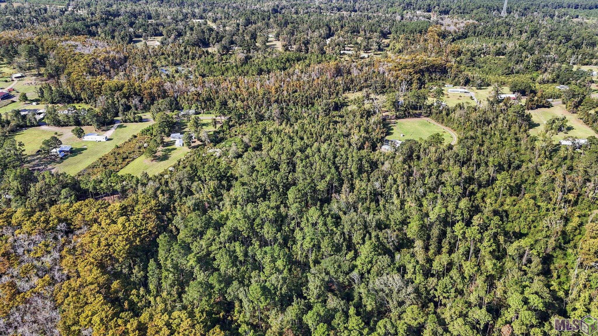 29890 Lower Rome Road Springfield, LA 70462 - Photo 2 of 13