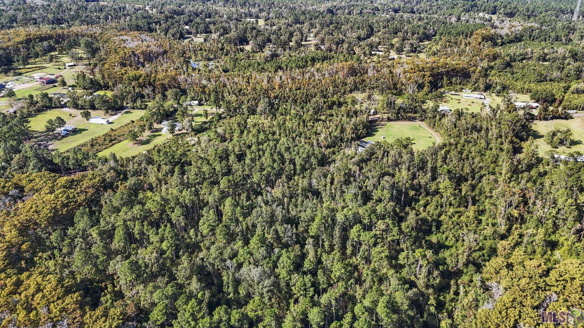 29890 Lower Rome Road Springfield, LA 70462 - Photo 3 of 13