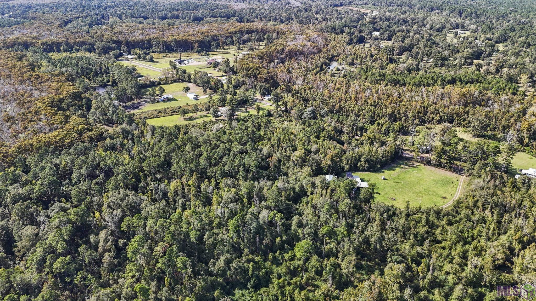 29890 Lower Rome Road Springfield, LA 70462 - Photo 4 of 13