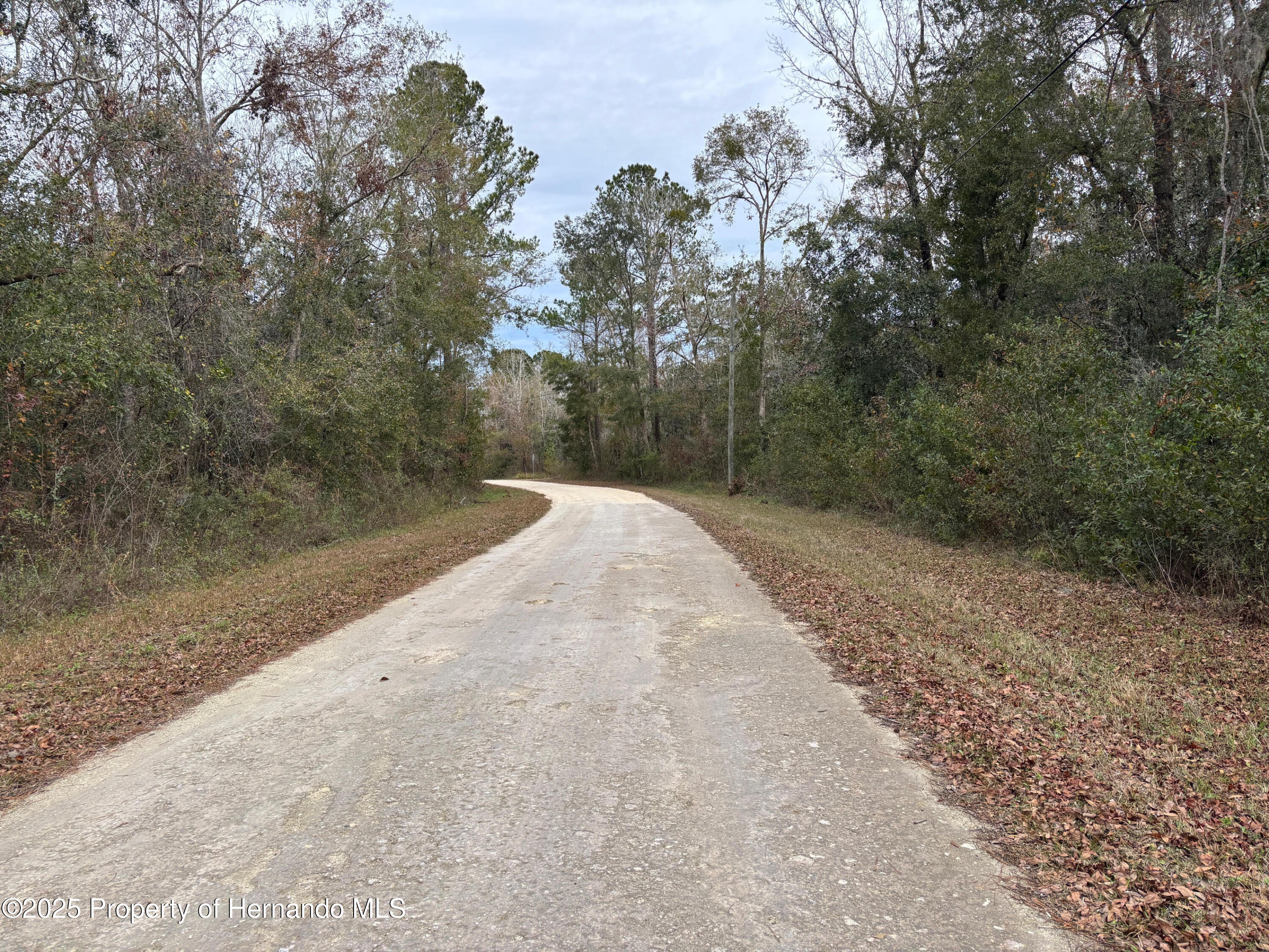 Lot 3 Carolina Dove Road Weeki Wachee, FL 34614 - Photo 5 of 5