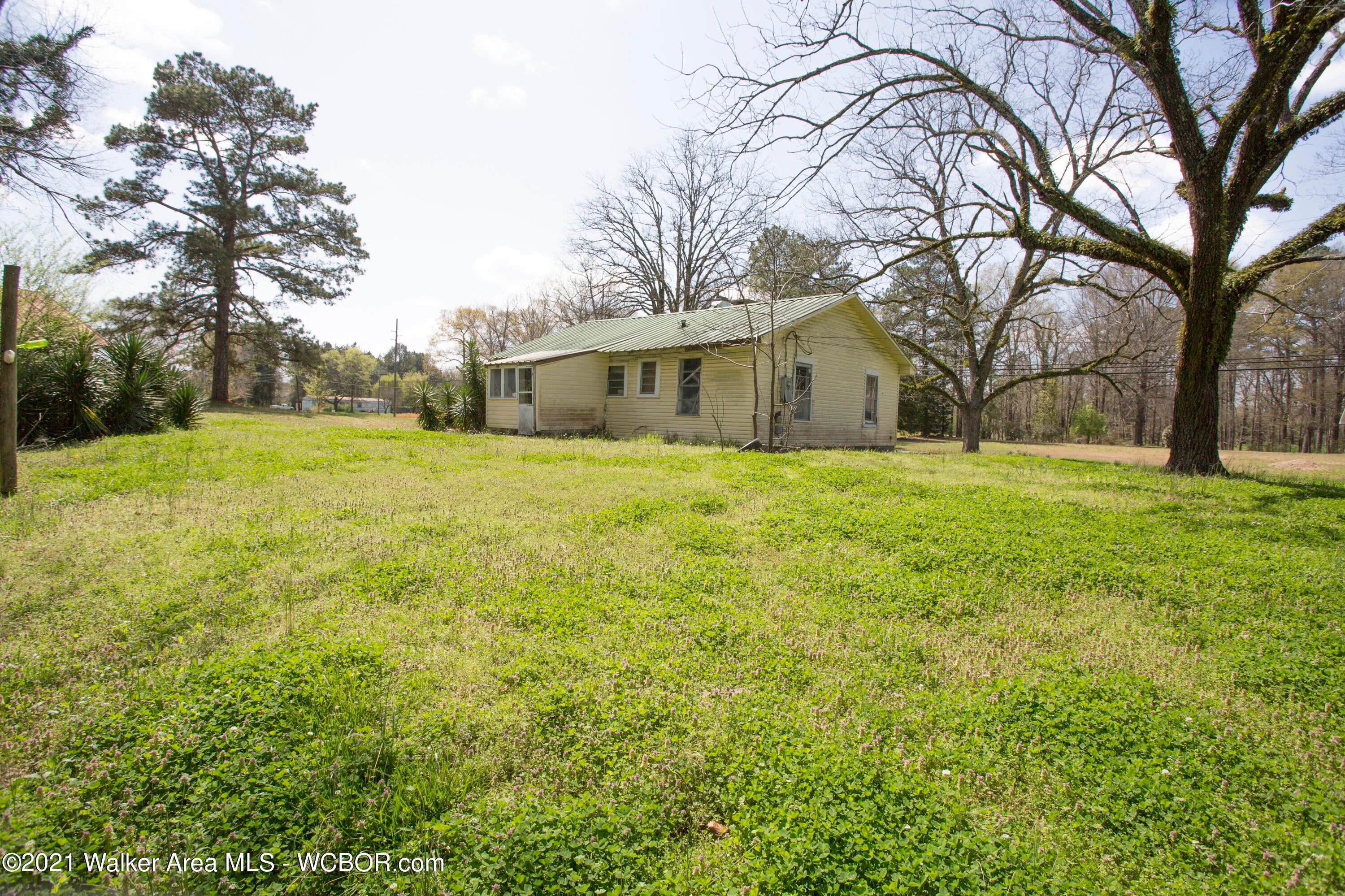 179 Buttermilk Road Jasper, AL 35501 - Photo 1 of 28 Gallery Image 1
