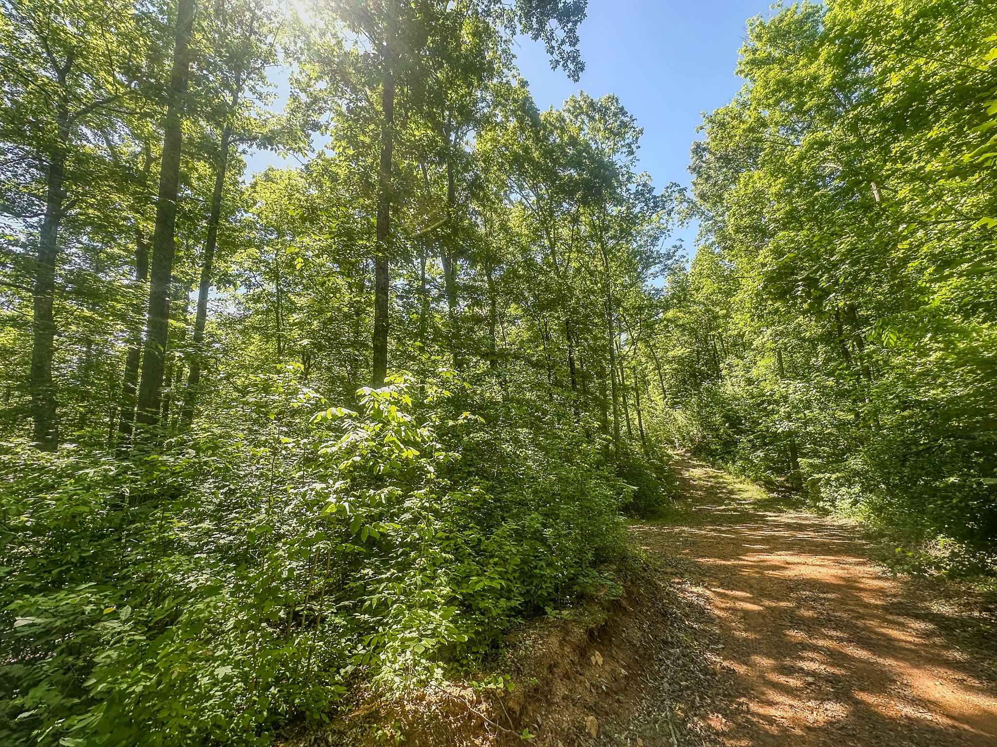 0 Mayberry Prong Road Linden, TN 37096 - Photo 12 of 24