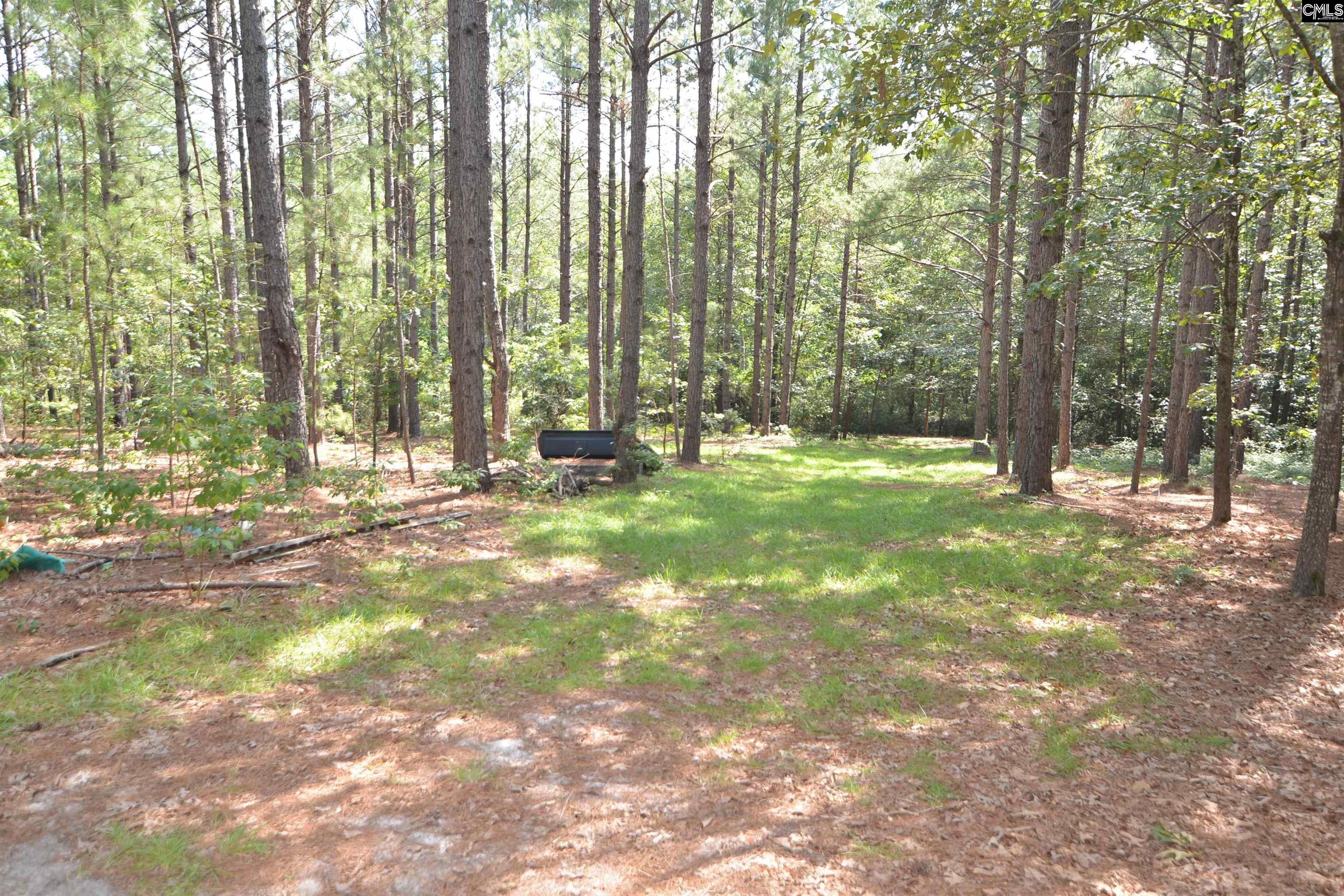 1885 Lake Elliott Road Cassatt, SC 29032 - Photo 20 of 28