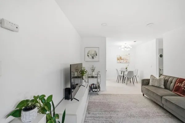 a living room with furniture and potted plant
