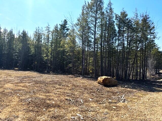 Lot 14 Milk Road Alfred, ME 04002 - Photo 8 of 22