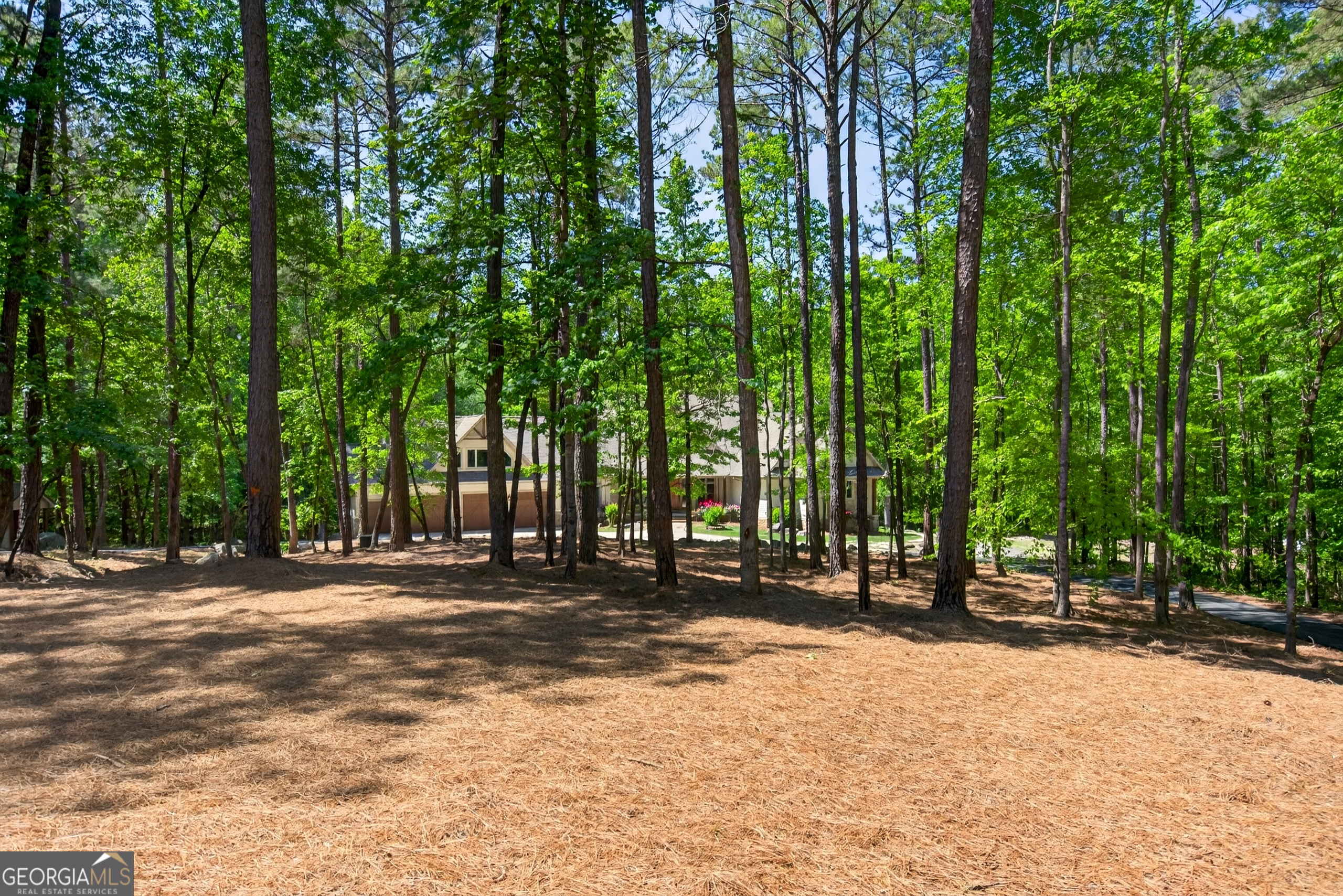 1154 Hunter Road Cataula, GA 31804 - Photo 92 of 99