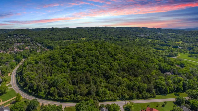 a view of a city with lush green forest