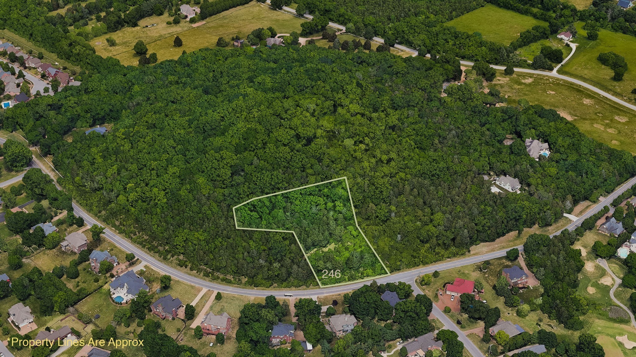 242 Spencer Creek Rd Lot Franklin, TN 37069 - Photo 9 of 16