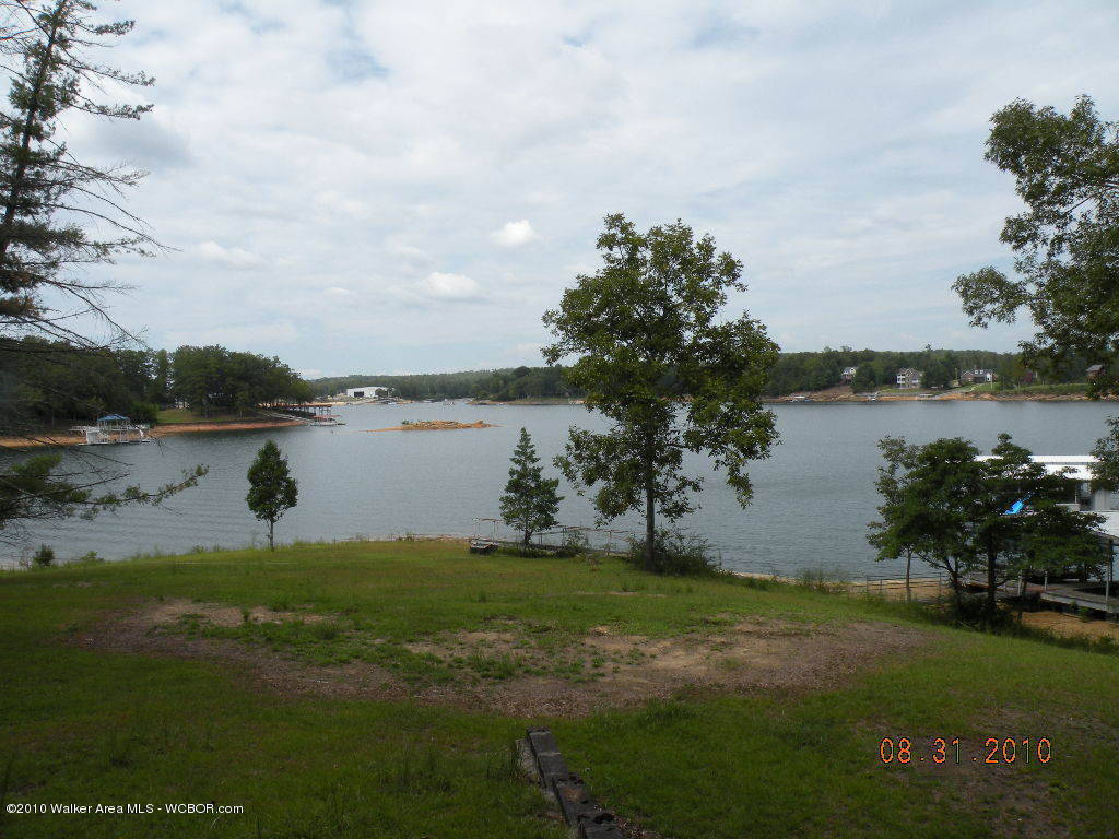 455 Battle Creek Road Jasper, AL 35503 - Photo 3 of 17 Gallery Image 3