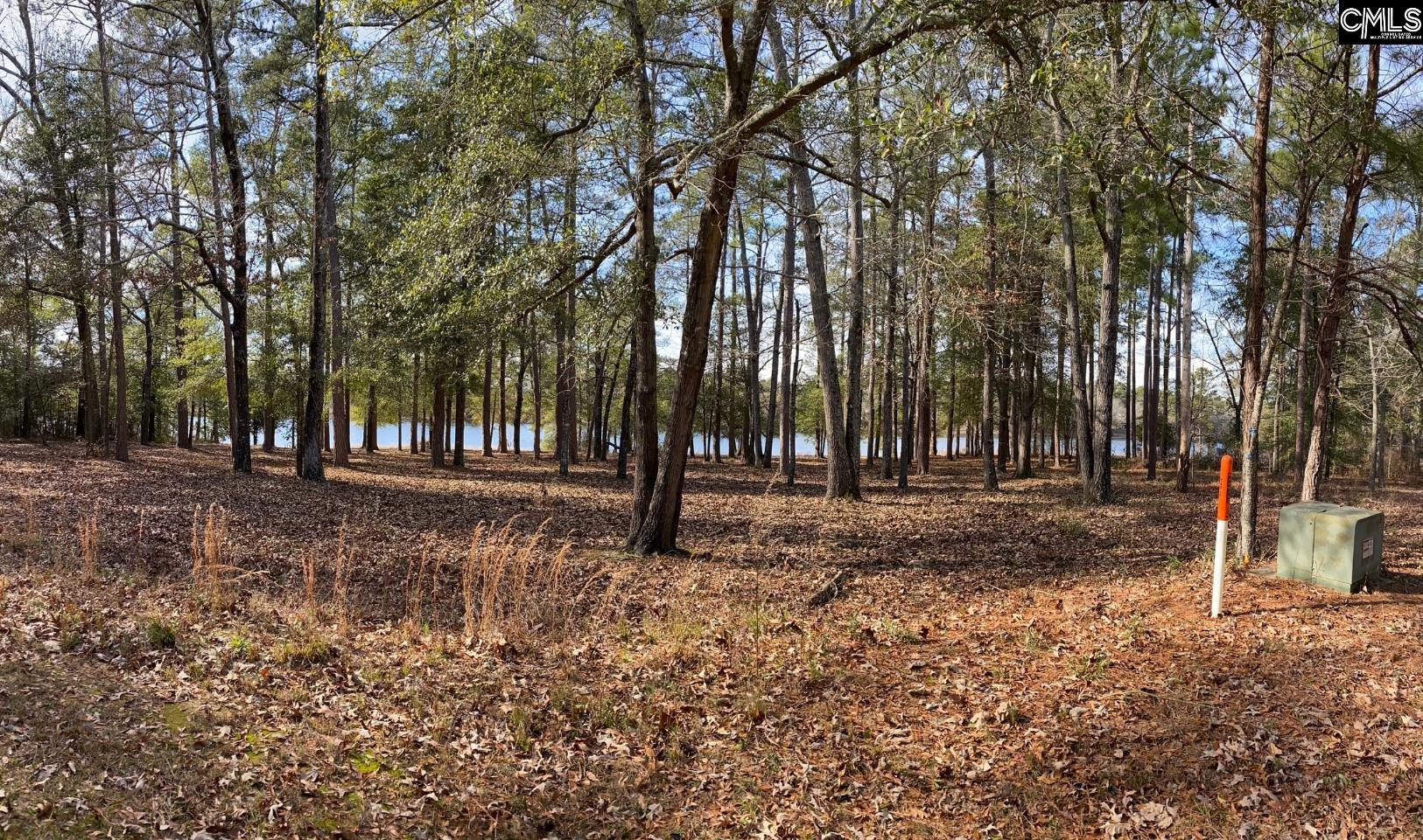 Mill Street Wagener, SC 29164 - Photo 2 of 2