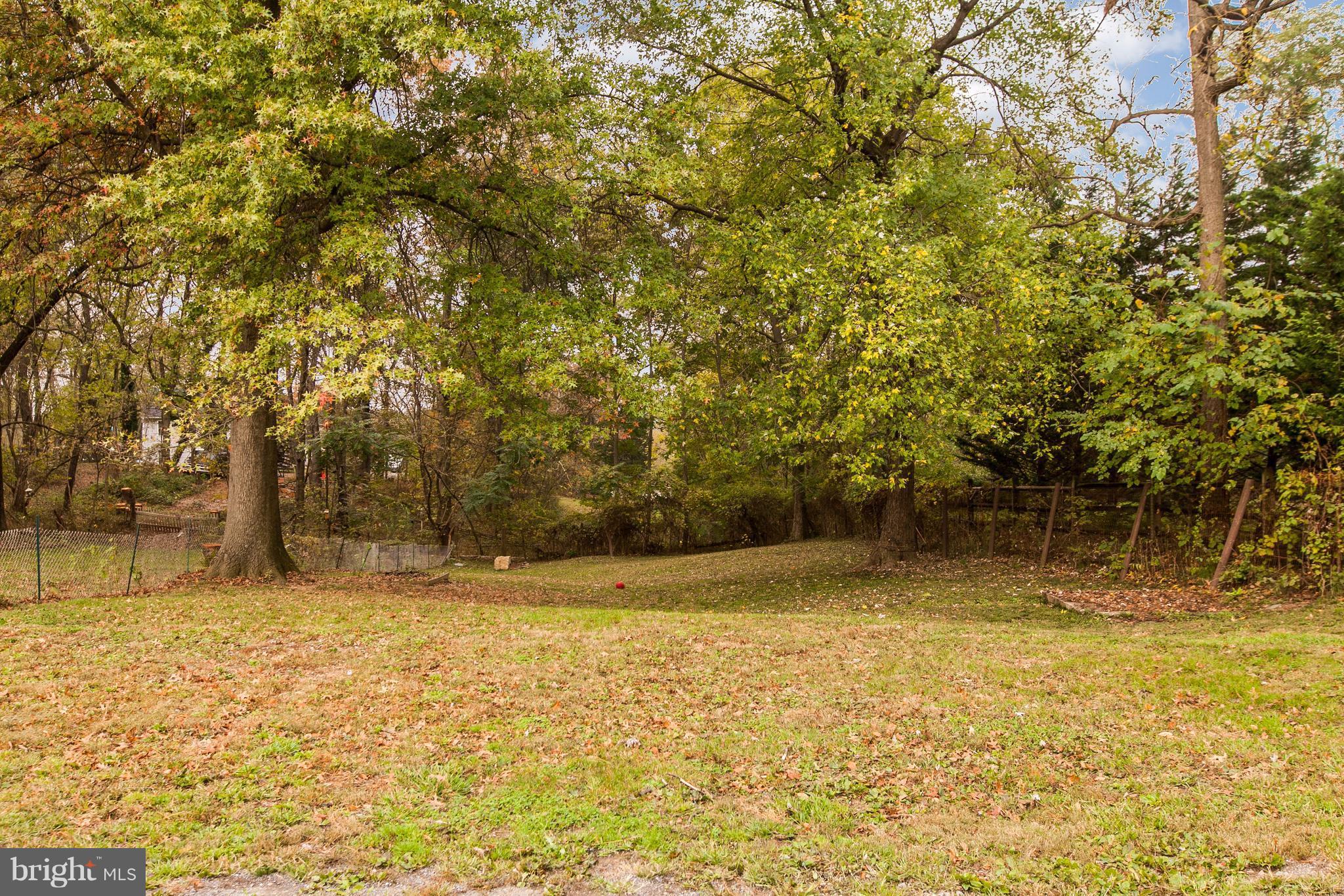 12138 Walnut Point Road Hagerstown, MD 21740 - Photo 23 of 25 View out backyard.