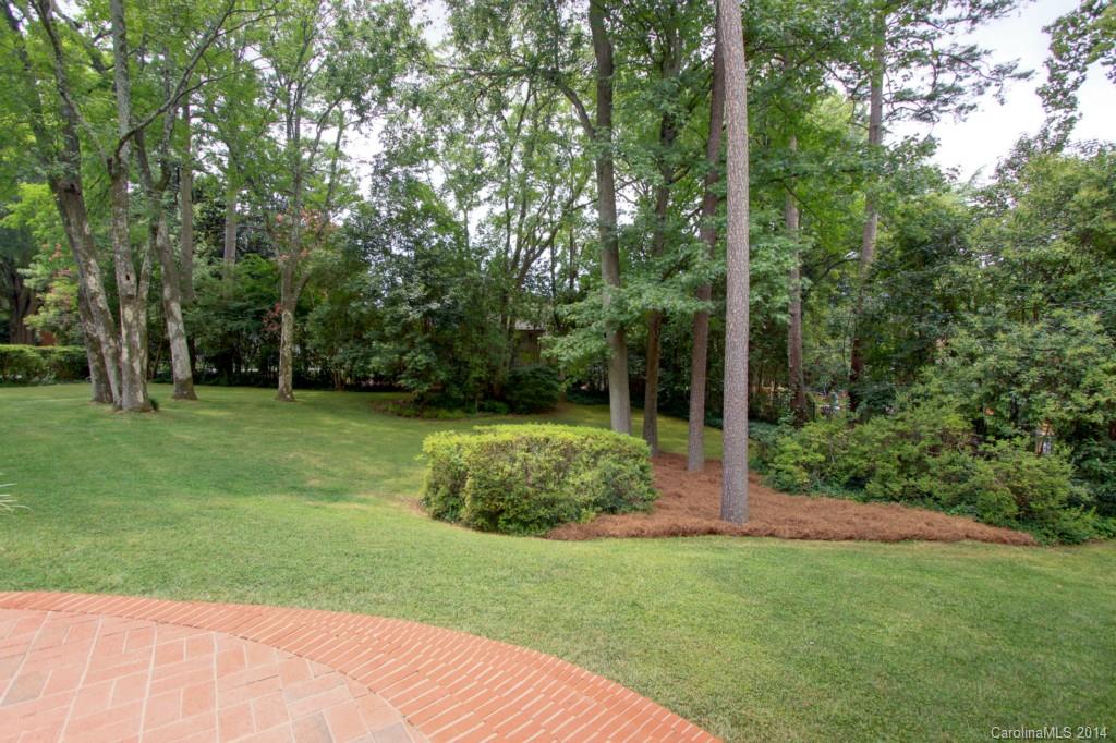 1133 Andover Road Charlotte, NC 28211 - Photo 22 of 24 a view of a backyard with large trees