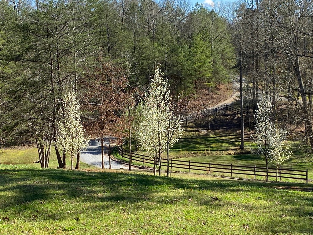34 Smokey Ridge Lane Morganton, GA 30560 - Photo 4 of 51
