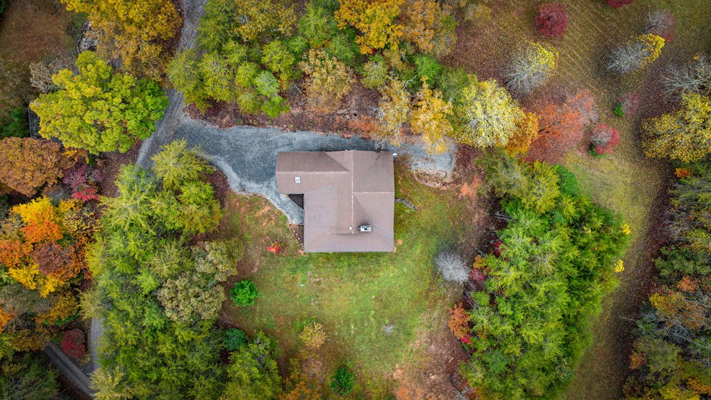 34 Smokey Ridge Lane Morganton, GA 30560 - Photo 48 of 51