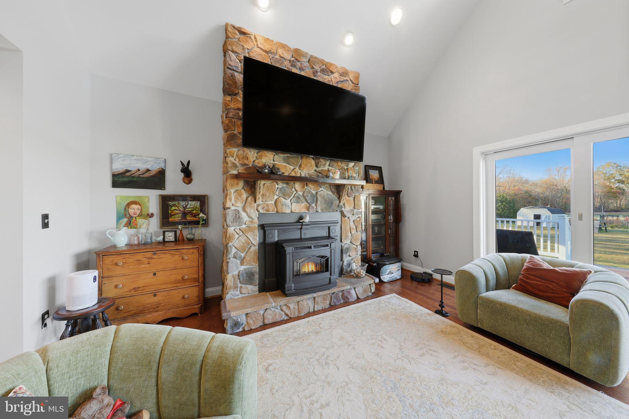 121 Little Eagle Road Centreville, MD 21617 - Photo 16 of 64 a living room with furniture a flat screen tv and a fireplace