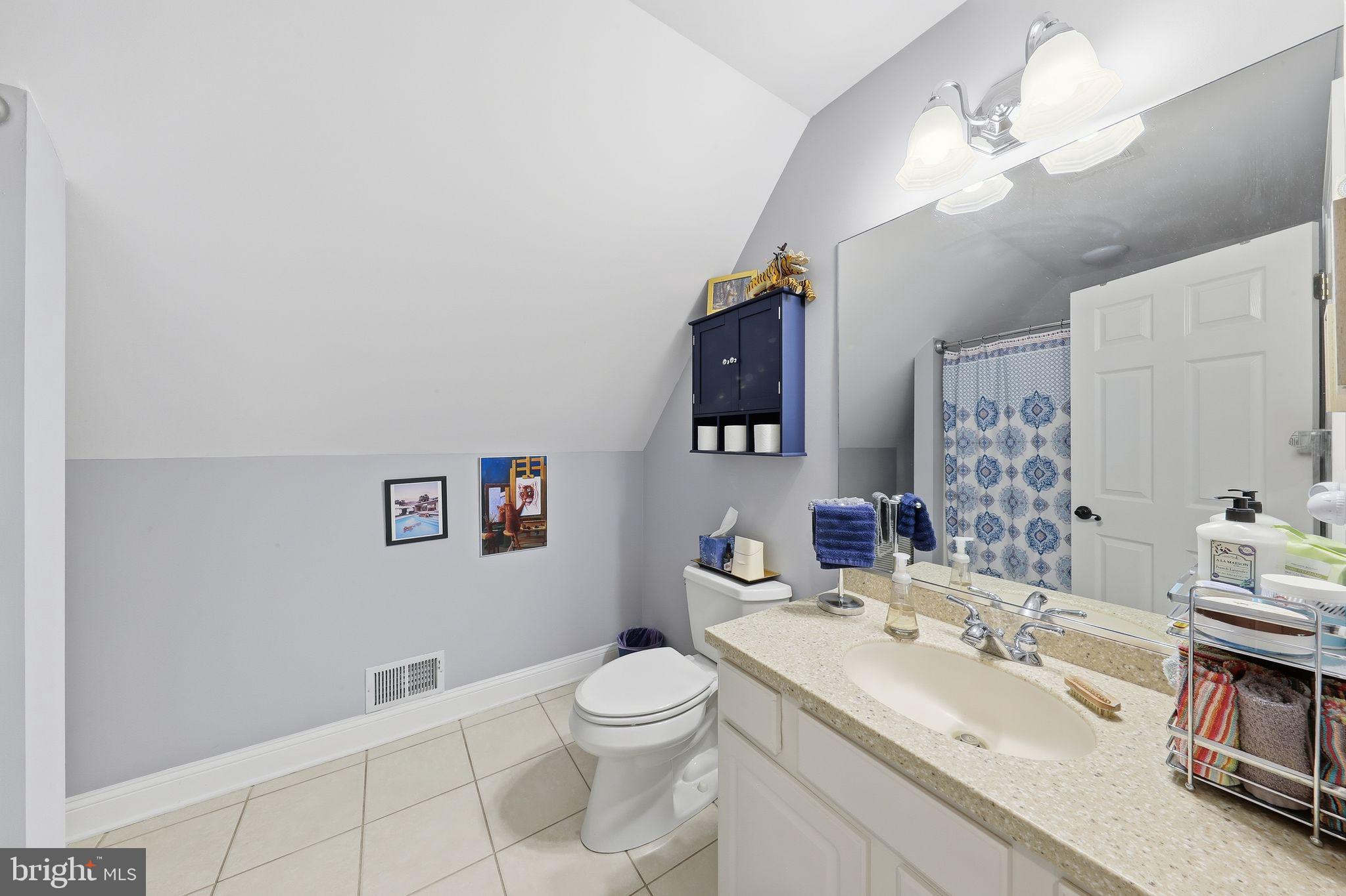 121 Little Eagle Road Centreville, MD 21617 - Photo 37 of 64 a bathroom with a sink a toilet and a mirror