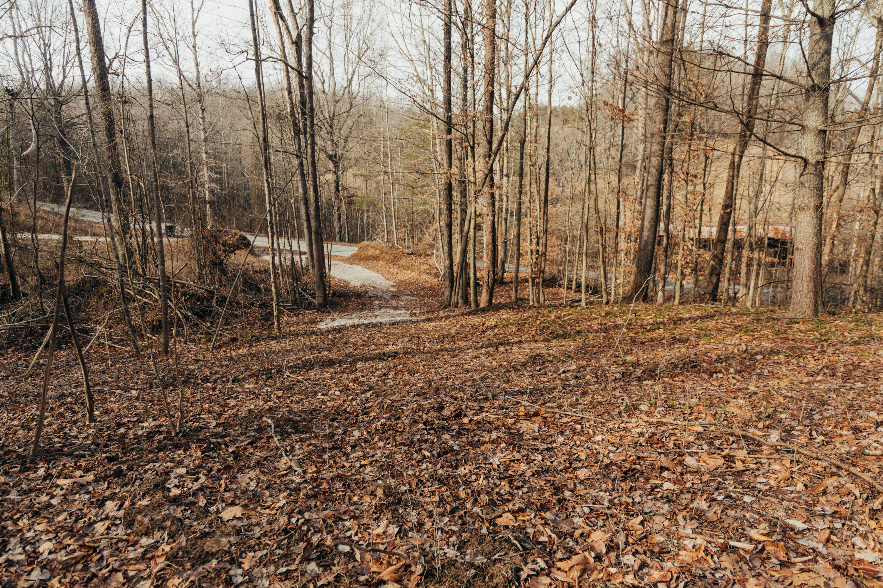 -tbd Whites Branch Road Wellington, KY 40387 - Photo 6 of 19 3Q8A9332