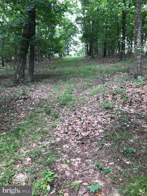 Hunting Ridge Winchester, VA 22603 - Photo 1 of 4 Gallery Image 1