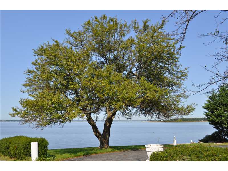 1 Beach Road Bristol, RI 02809 - Photo 15 of 18 View.