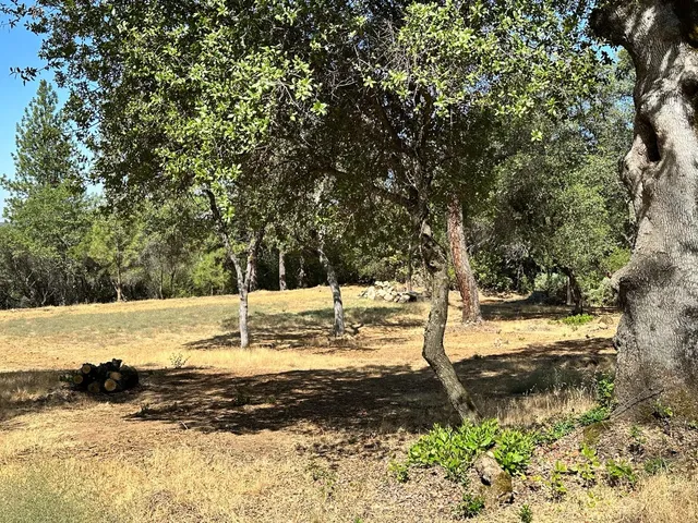 a view of a yard with trees