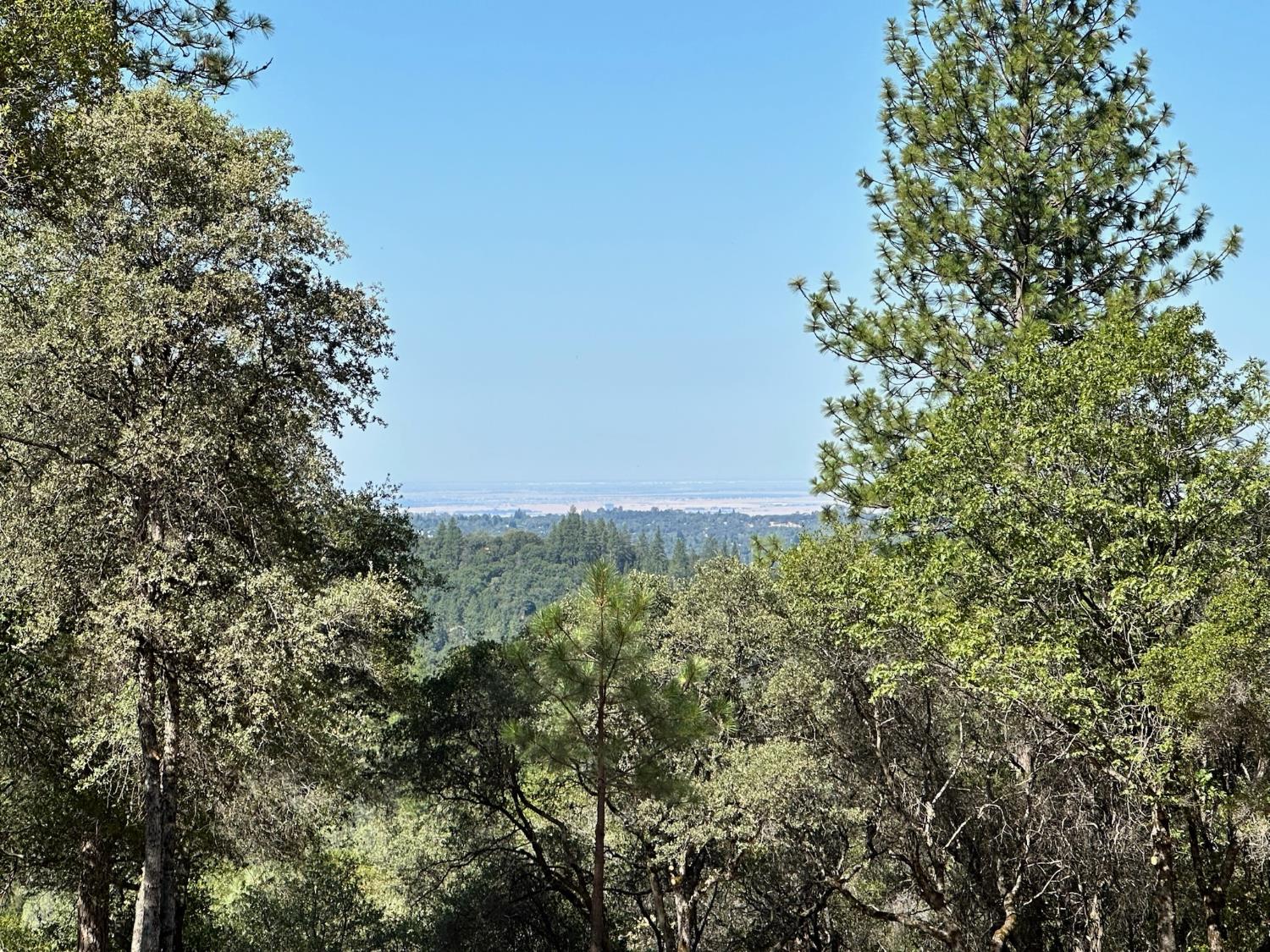 389 Summit View Meadow Vista, CA 95722 - Photo 13 of 35 a view of a field