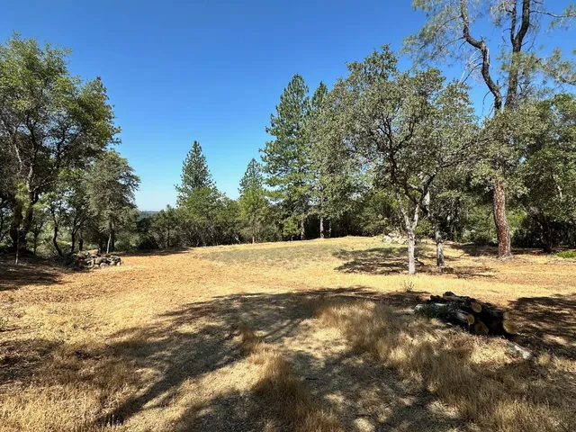 a view of ocean view with trees