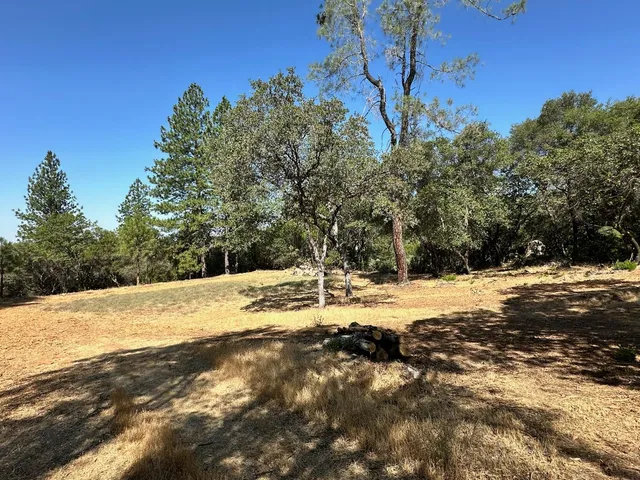a view of a yard with trees