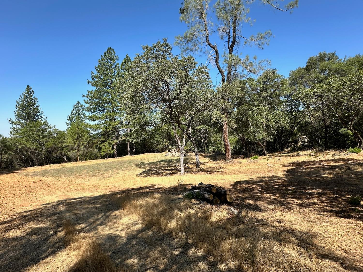 389 Summit View Meadow Vista, CA 95722 - Photo 16 of 35 a view of a yard with trees