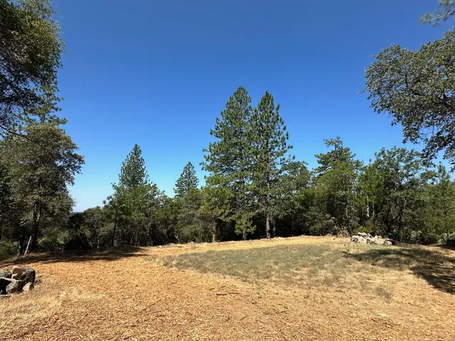 a view of a yard with a tree