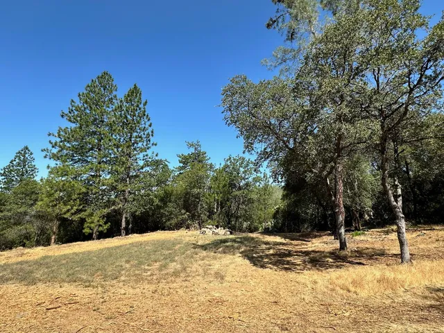 a view of a yard with trees