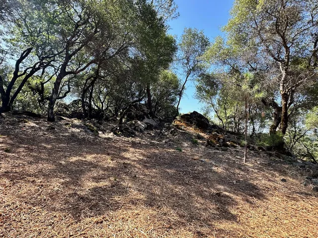 a big yard with lots of green space