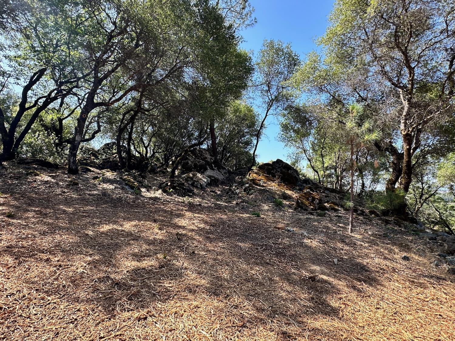 389 Summit View Meadow Vista, CA 95722 - Photo 24 of 35 a big yard with lots of green space