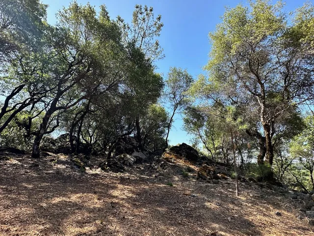 a big yard with lots of green space