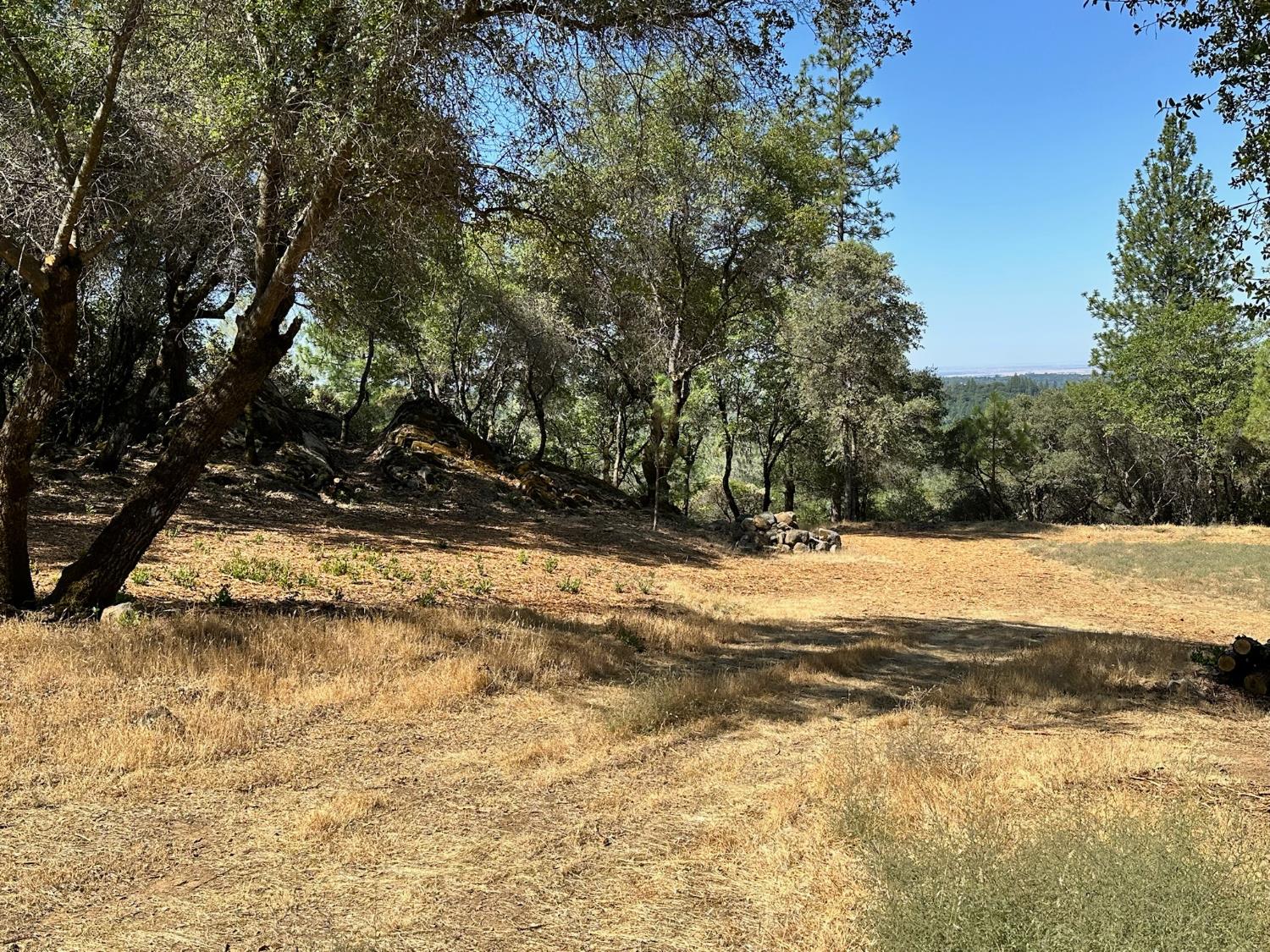 389 Summit View Meadow Vista, CA 95722 - Photo 3 of 35 a view of yard