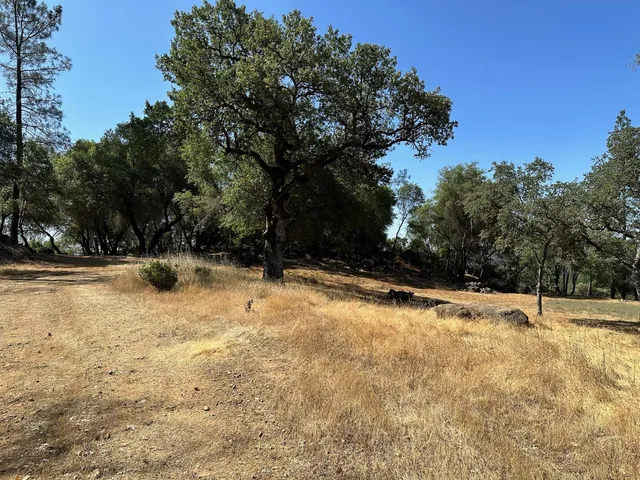 a view of swimming pool with large trees