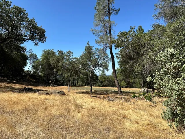 a view of empty space with trees