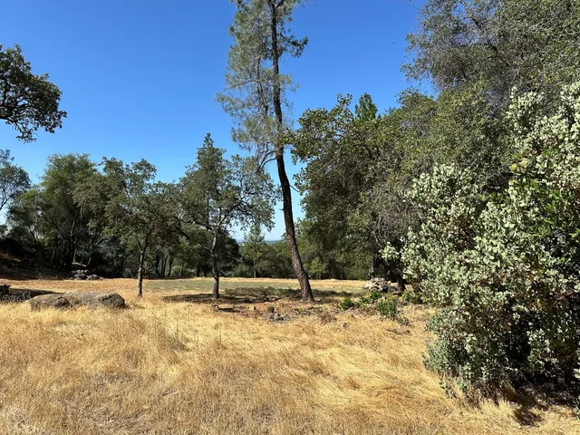 a backyard of a house with lots of trees