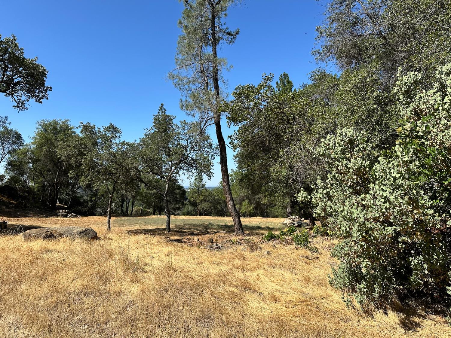 389 Summit View Meadow Vista, CA 95722 - Photo 9 of 35 a backyard of a house with lots of trees