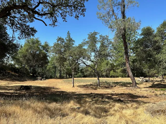 a view of a water fountain and covered with trees