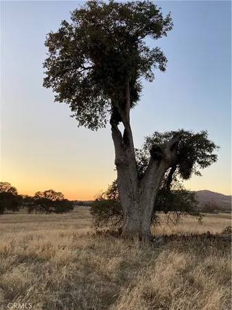 $99,900 | 2187 Tinkers Penny Catheys Valley, Catheys Valley, CA 95306