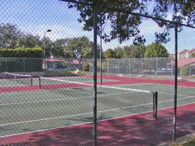 a view of a back yard