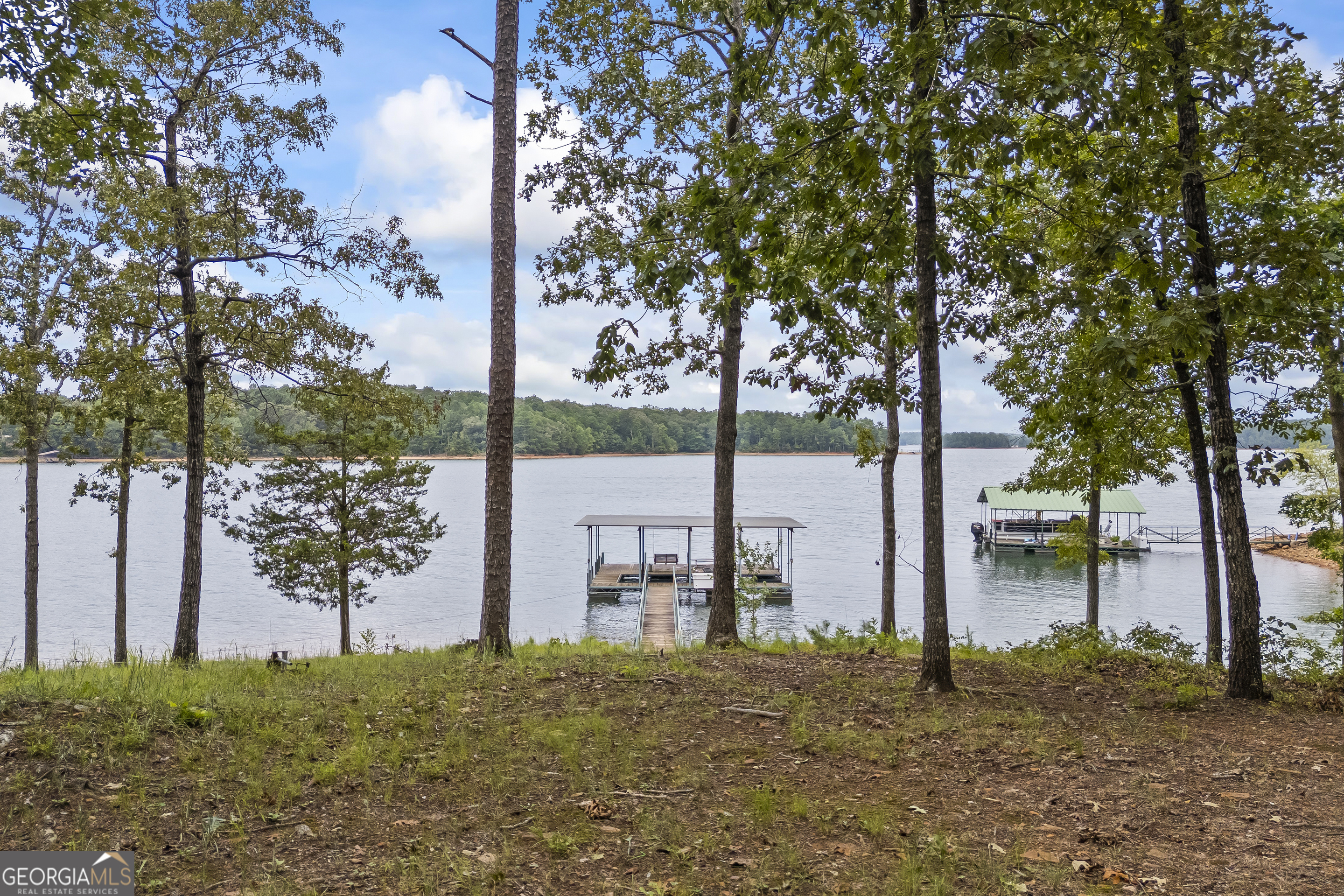 149 Foxtail Drive Hartwell, GA 30643 - Photo 2 of 32