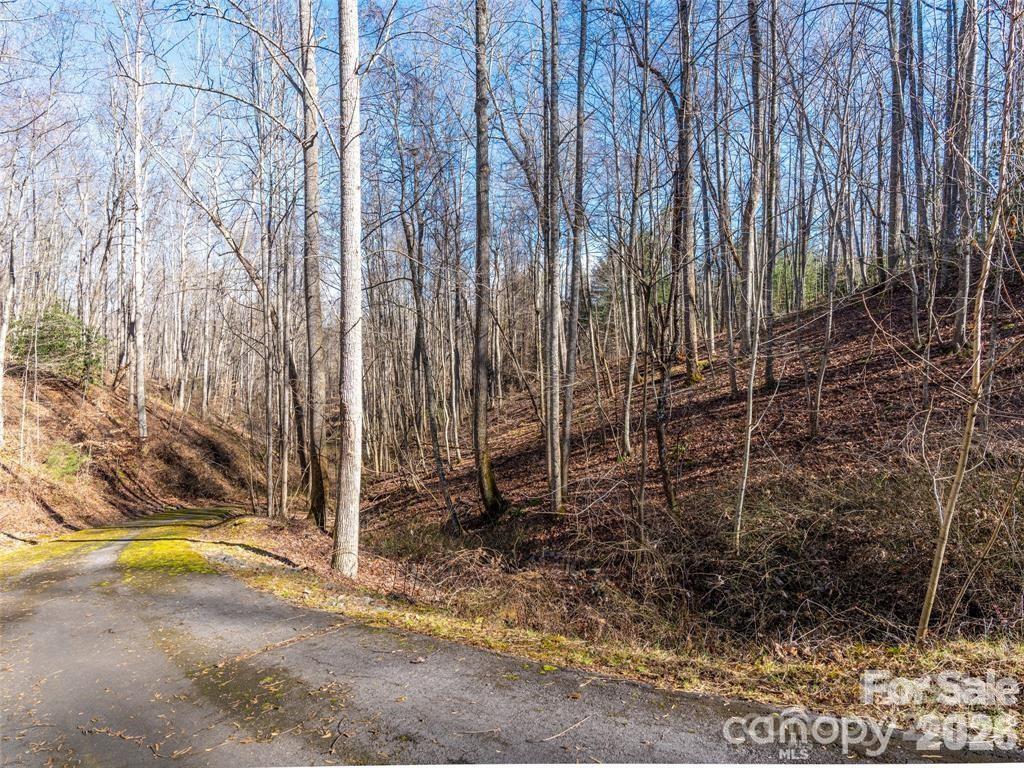 19-20 Riva Ridge Drive, Unit 26/34 Fairview, NC 28730 - Photo 6 of 15