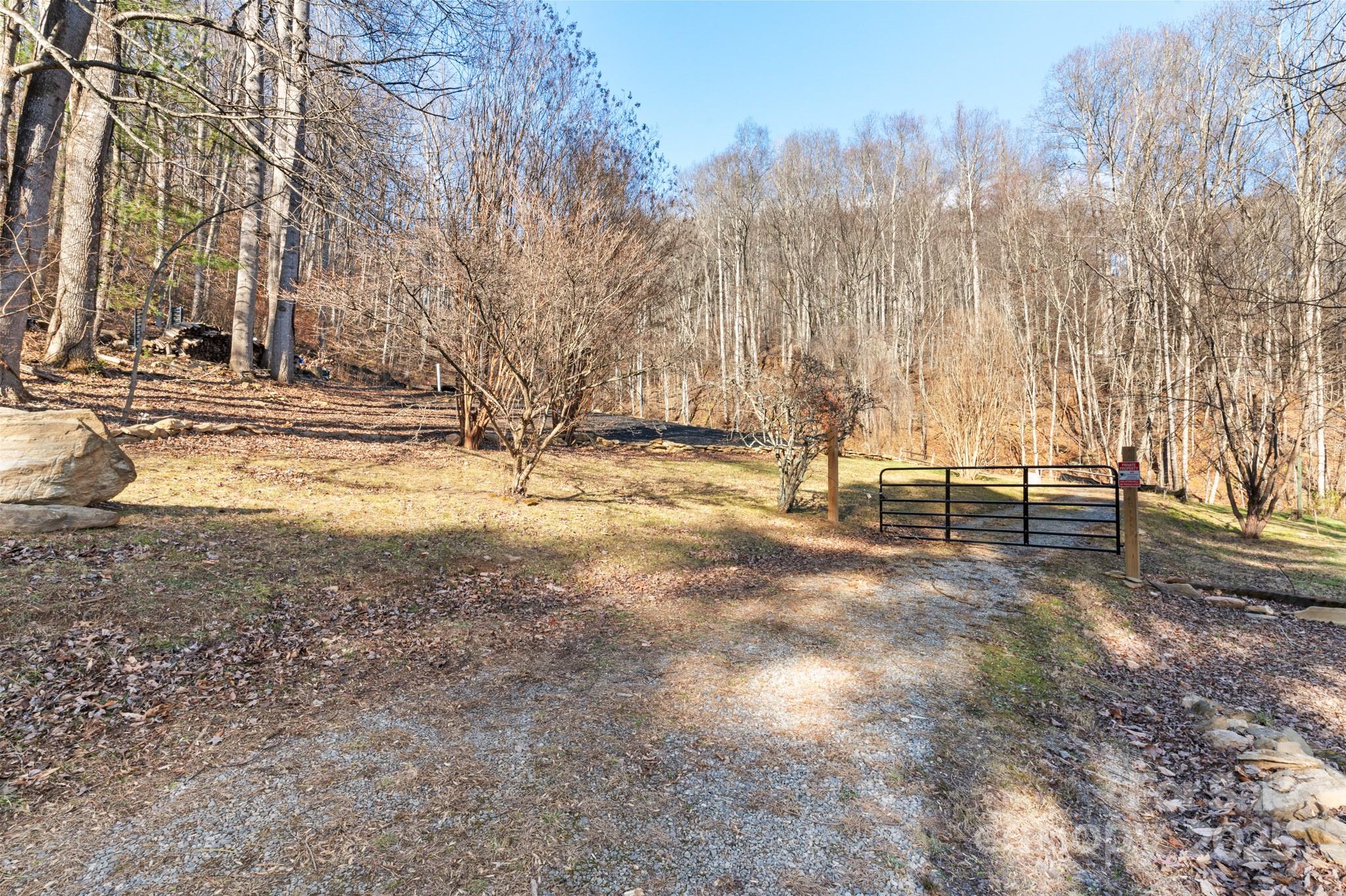 481 Sugar Mountain Road Waynesville, NC 28785 - Photo 1 of 23 a view of yard with trees