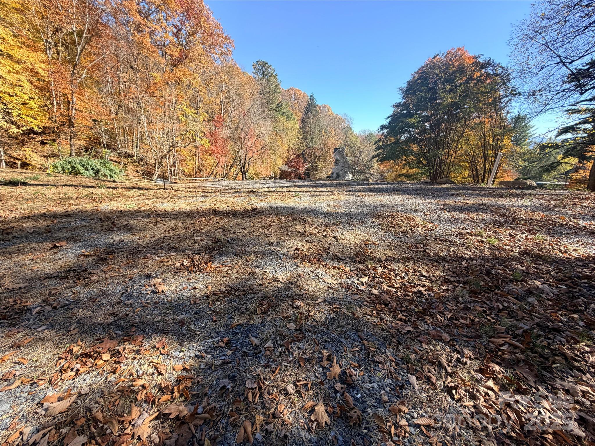 481 Sugar Mountain Road Waynesville, NC 28785 - Photo 22 of 23 a view of dirt field with trees