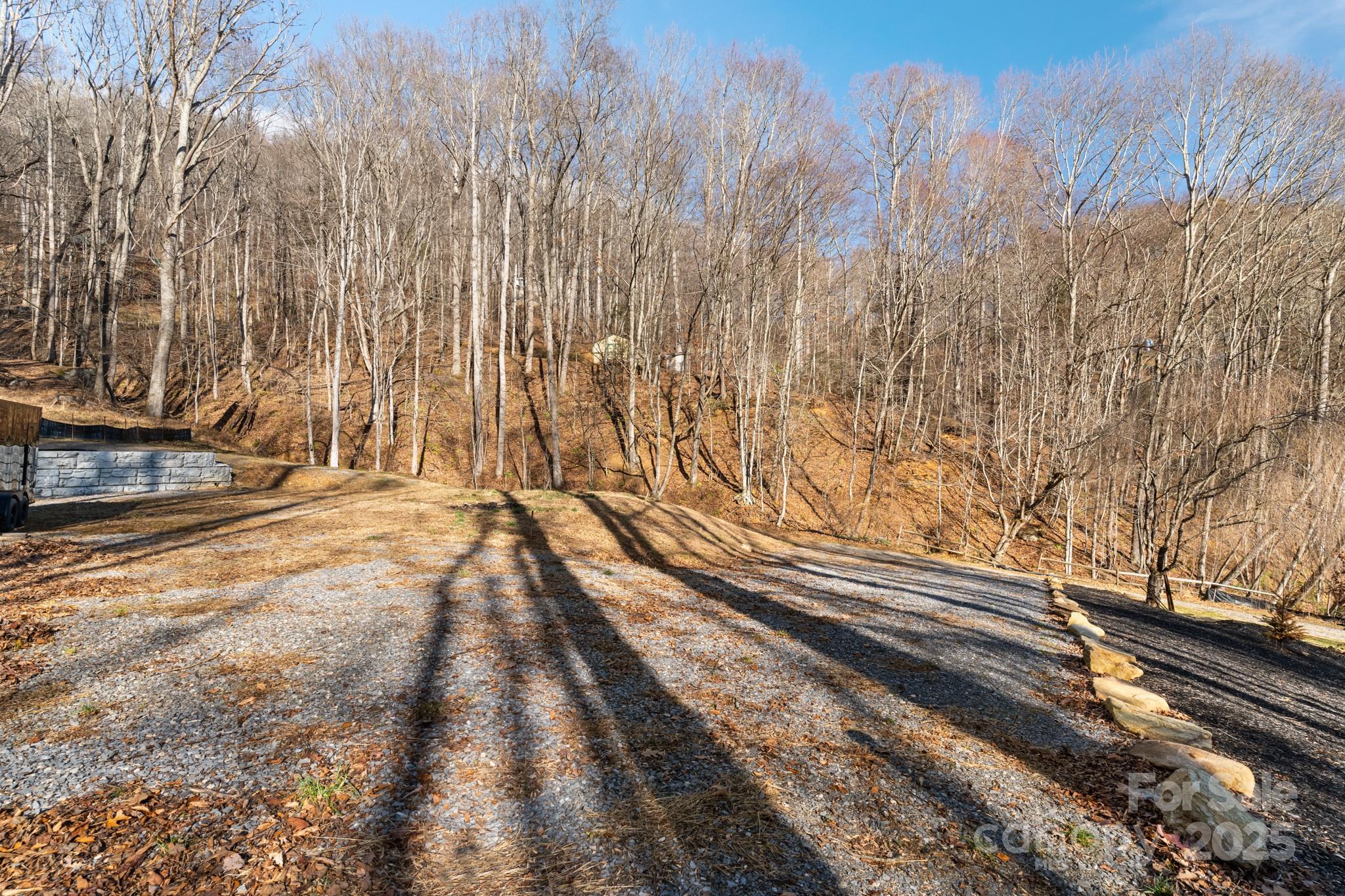 481 Sugar Mountain Road Waynesville, NC 28785 - Photo 4 of 23 a view of a backyard of a house